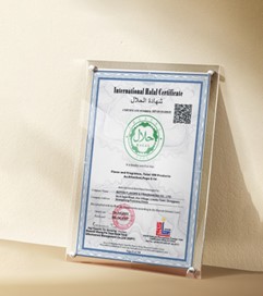 Main Certificate